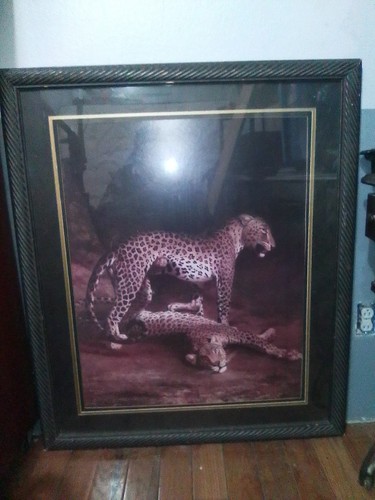 Leopard framed painting wall - painting,